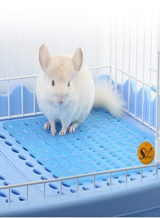 سايج سكوير سجادة أرضية مريحة مربعة الشكل من البولي فينيل كلوريد لحماية أقدام الأرانب/خنازير غينيا/النموس/الكلاب/القطط/القطط الصغيرة (قطعة واحدة، أزرق، مقاس واحد) - Image 1